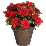 Mica Decorations Azalea Kunstplant - H31 x Ø26 cm - Rood