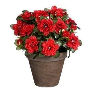 Mica Decorations Azalea Kunstplant - H31 x Ø26 cm - Rood