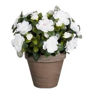 Mica Decorations Azalea Kunstplant - H31 x Ø26 cm - Wit