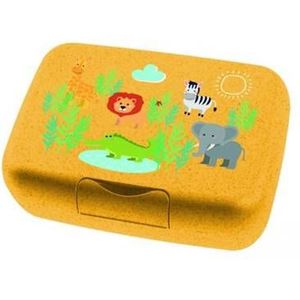 Lunchbox, Groot, Organic, Africa - Koziols-sCandy L