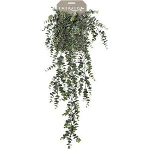 Easyplants Kunst Hangplant Eucalyptus 75cm