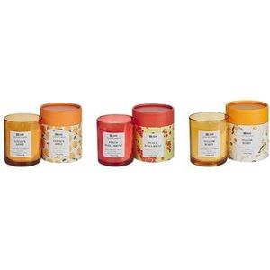 Beliani - COLORFUL BARREL - Geurkaars set - Bes|Gele bes|Goud appel