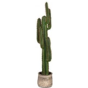 LABEL51 Cactus Decoratie - Groen - Kunststof - 130 cm