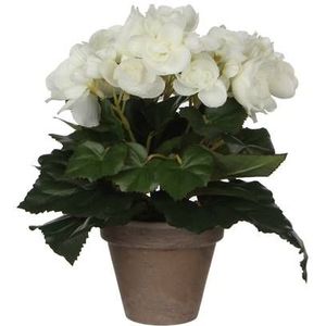 Mica Decoration Kunstplant - begonia - wit - in grijze pot - 25 cm