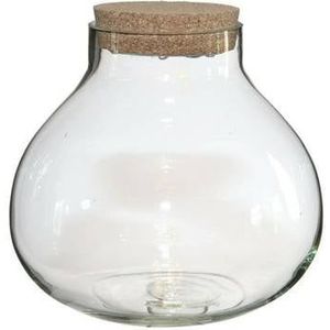 Ideas4seasons Vaas pot - ecosysteem - met LED - D20xH20 cm