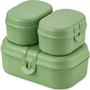 Koziol - Lunchbox Set, Mini, 3 Delig, Organic, Blad Groen - Koziol | P