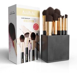 AL-306 Aizal Brush set