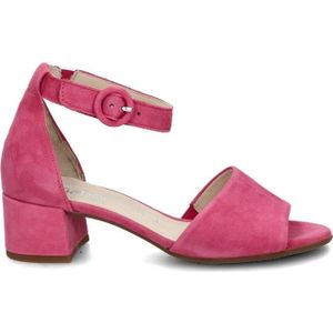 Gabor pumps