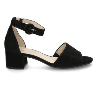 Gabor pumps