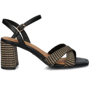 Tamaris pumps