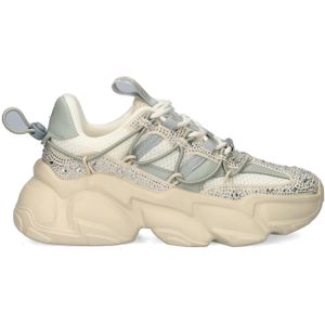 Steve Madden Spectator-R sneakers