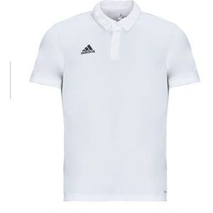 adidas  ENT22 POLO  Shirts  heren Wit