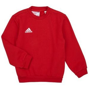 adidas  ENT22 SW TOPY  Truien  kind Rood