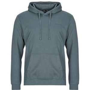Teddy Smith  S-NARK HOODY  Truien  heren Blauw