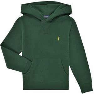 Polo Ralph Lauren  LS PO HOOD-TOPS-KNIT  Truien  kind Groen