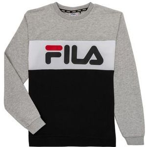 Fila  FLORE  Truien  kind Grijs
