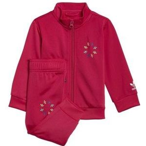 adidas  TRACKSUIT  Setjes kind Blauw