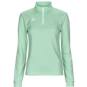 adidas  ENT22 TR TOP W  jassen  dames Groen