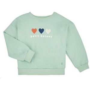 Petit Bateau  MORGANE  Truien  kind Groen