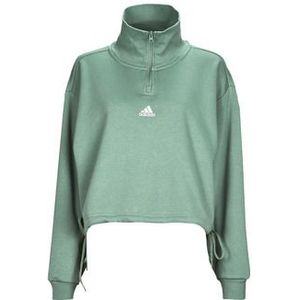 adidas  1/4 Zip SILGRN  Truien  dames Groen