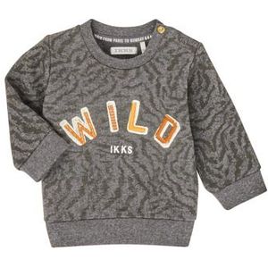 Ikks  XR15001  Truien  kind Grijs