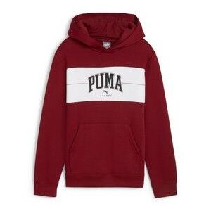 Puma  PUMA SQUAD  Truien  kind Bordeau