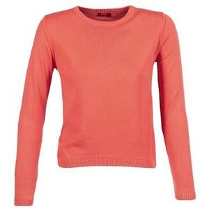 BOTD  ECORTA  Truien  dames Oranje