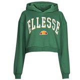 Ellesse Ramo Cropped Hoodie