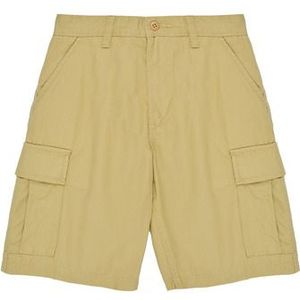 Vans  SERVICE CARGO SHORT  Broeken  kind Beige