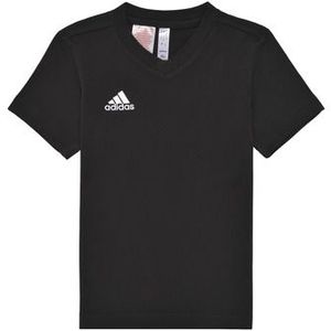 adidas  ENT22 TEE Y  Shirts  kind Zwart