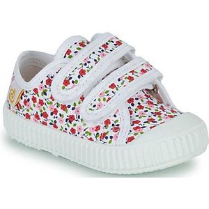 Citrouille et Compagnie  MINOT  Sneakers  kind Multicolour