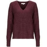 Morgan  MSTAR  Truien  dames Bordeau