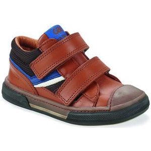 GBB  VICTORIC  Sneakers  kind Bruin