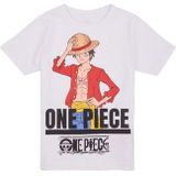 Name it  NKMNATE ONEPIECE SS TOP BOX  VDE  Shirts  kind Wit
