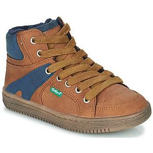 Kickers  LOWELL  Sneakers  kind Bruin