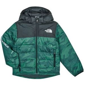 The North Face  Boys Never Stop Synthetic Jacket  Jassen  kind Groen