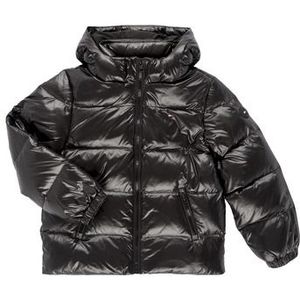 Tommy Hilfiger - ESSENTIAL - Tussenjas - Zwart - Gewatteerd