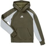 Sweater - Colorblock - Katoen/Polyester/Gerecycled - Met Capuchon