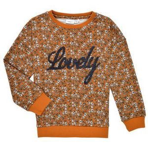 Name it  NKFKAFRA LS SWEAT  Truien  kind Oranje