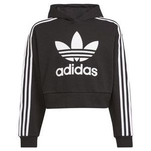 Adidas - Adicolor - Hoodie - Junioren - Cropped - Zacht Katoen