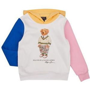 Polo Ralph Lauren  LSPO HOOD M7-KNIT SHIRTS-SWEATSHIRT  Truien  kind Multicolour