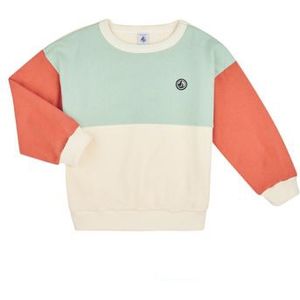 Petit Bateau  MAEL  Truien  kind Multicolour