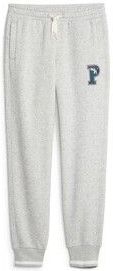 Puma - PUMA SQUAD SWEATPANTS FL CL B - Trainingsbroek - Grijs