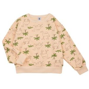 Petit Bateau  FLOT  Truien  kind Multicolour