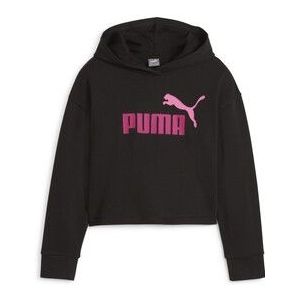 Puma  ESS 2COLOR HOODIE  Truien  kind Zwart