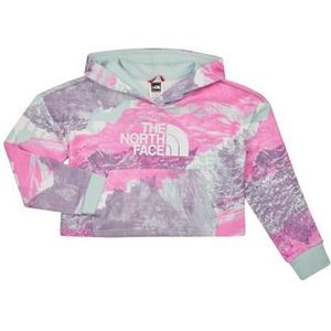 The North Face  Girls Drew Peak Light Hoodie  Truien  kind Multicolour