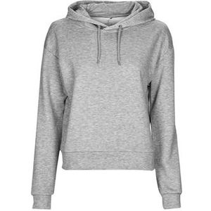 Only Play  ONPLOUNGE LS HOOD SWEAT - NOOS  Truien  dames Grijs