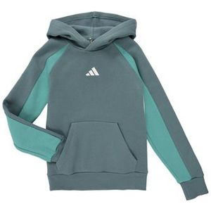 adidas - Sportswear Hoodie - Preloved Teal - Regular Fit