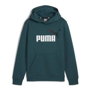 Puma  ESS+ 2 COL BIG LOGO HOODIE FL  Truien  kind Groen