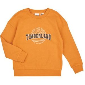 Timberland  SWEAT T60315  Truien  kind Geel